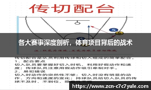 各大赛事深度剖析，体育项目背后的战术